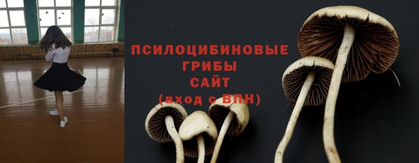 героин Бородино