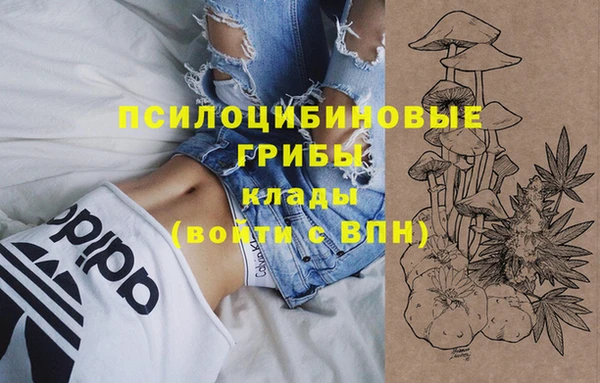 героин Бородино
